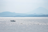 飞轮海海报(要看最新、最震撼、最激励的飞轮海海报？这里有！)